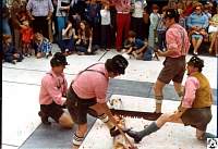 1976 05 dd 03 Winston Salem Springfest.jpg